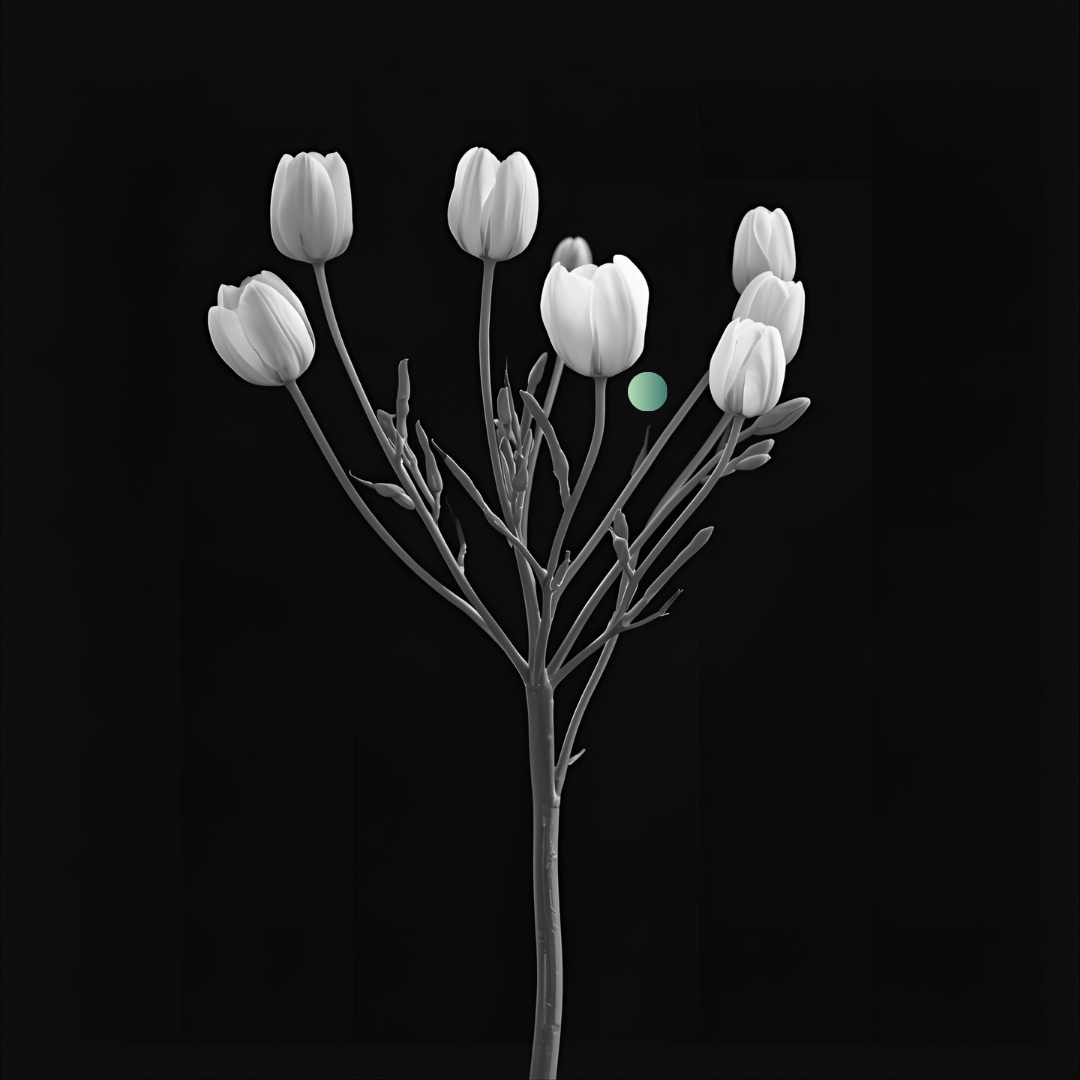 artnevis header (12)